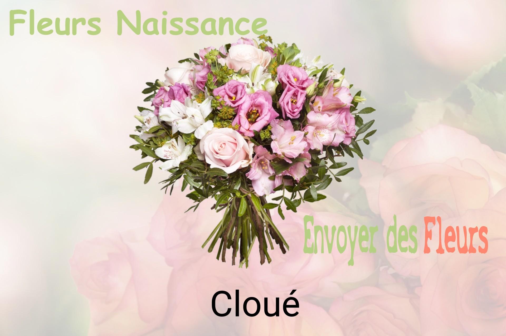 Bouquet de fleurs de naissance livré à Cloué